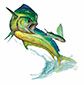 John Carroll Doyle Originals 'Mahi Mahi� 